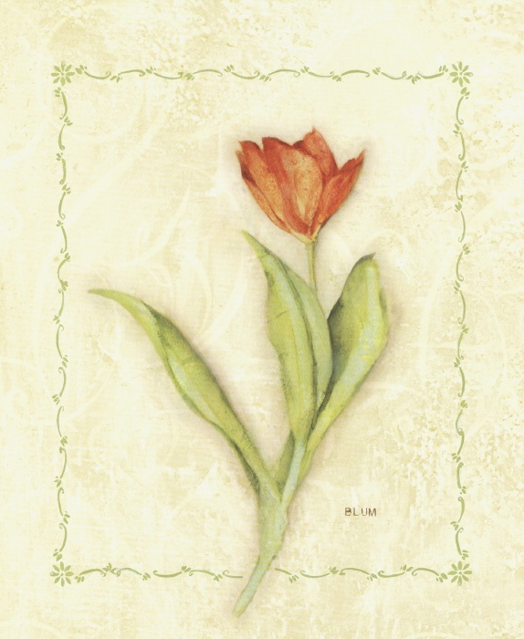 Cheri Blum Red Tulip
